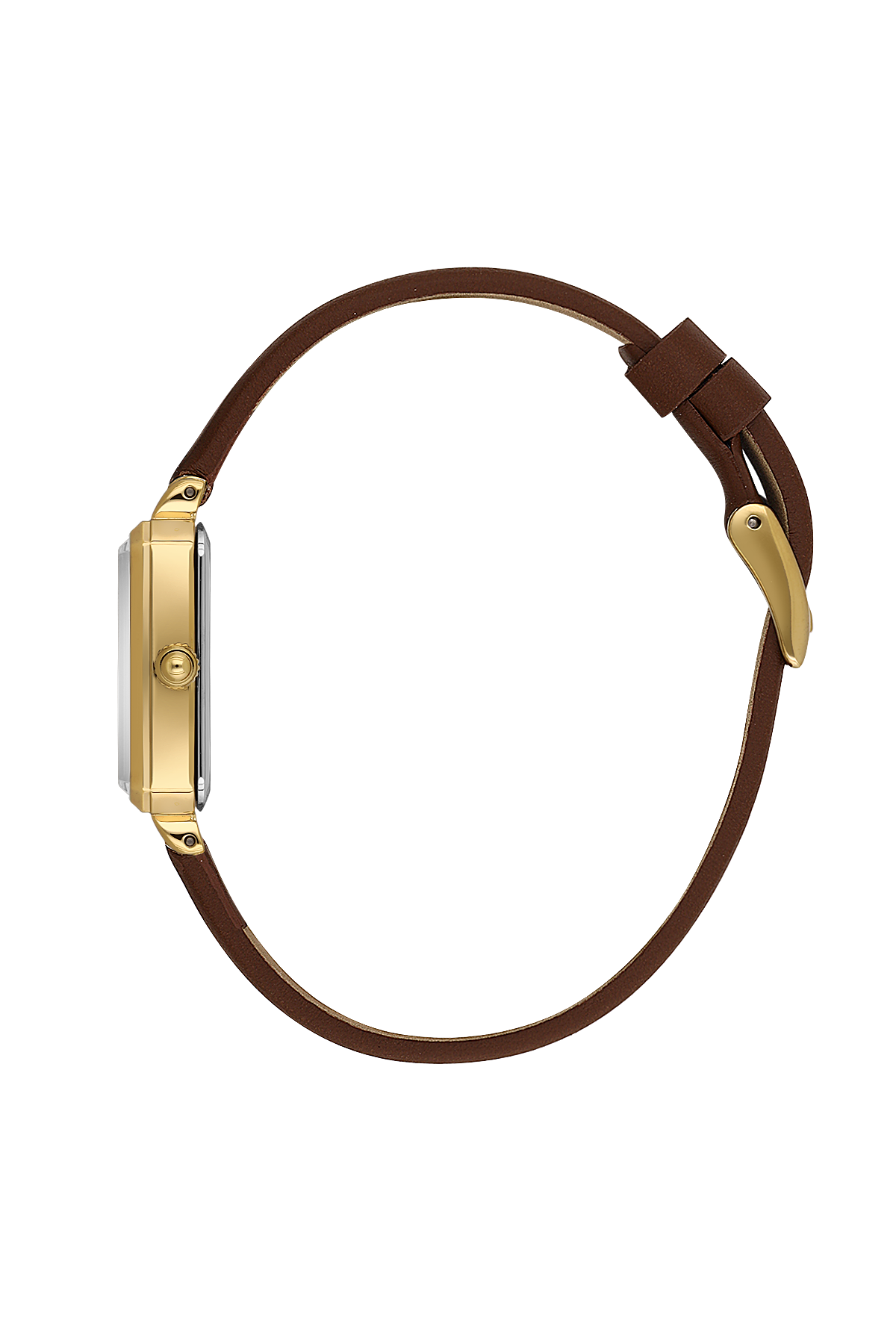Watch with gold case and brown leather strap on a white background