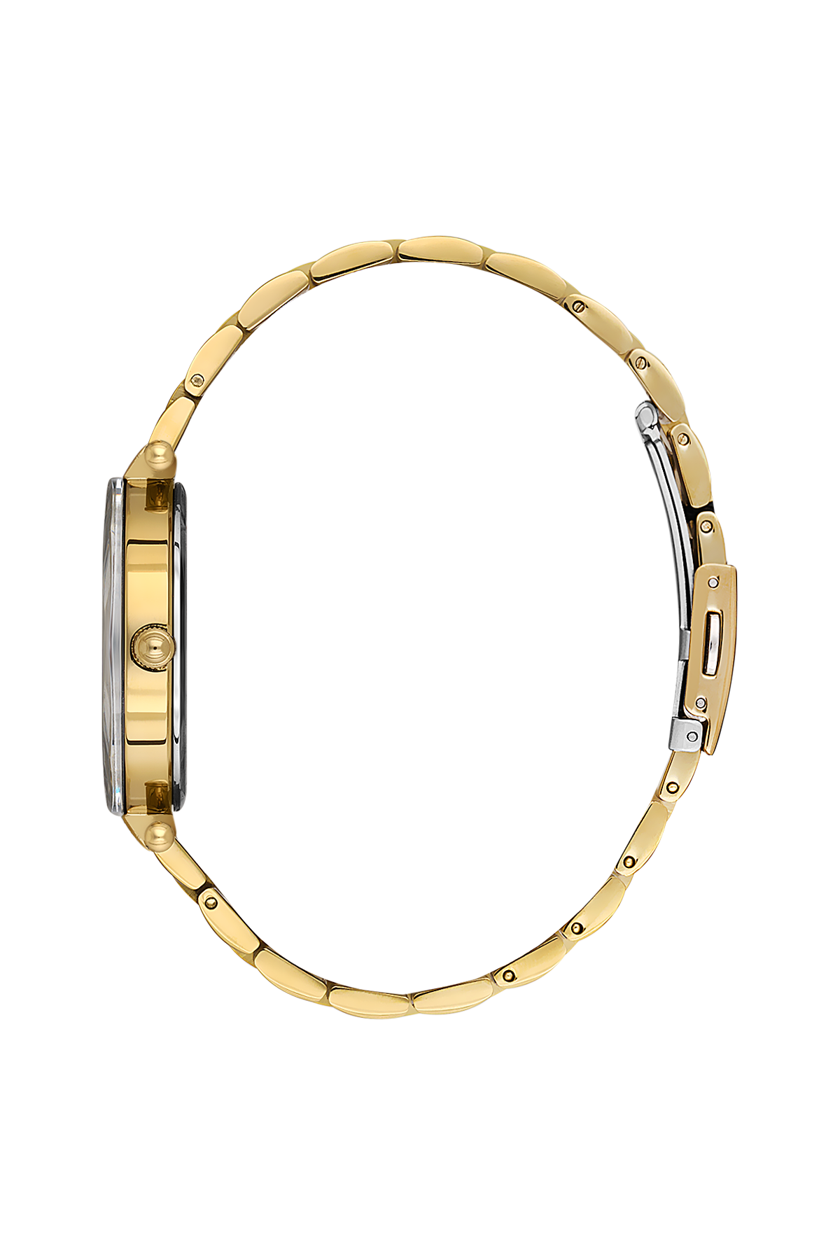 Daniel Klein Women Watch DK.1.13954-2