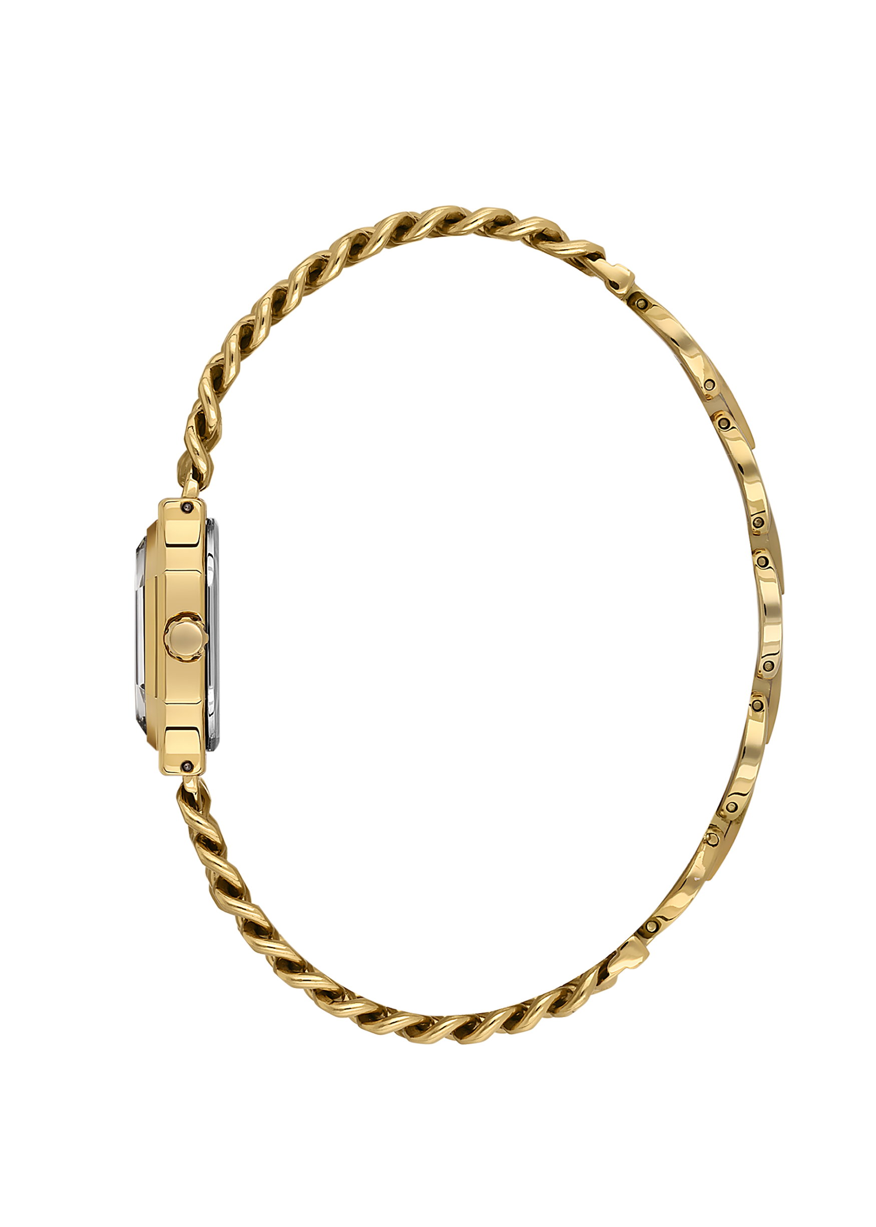 Daniel Klein Women Watch DK.1.13964-4