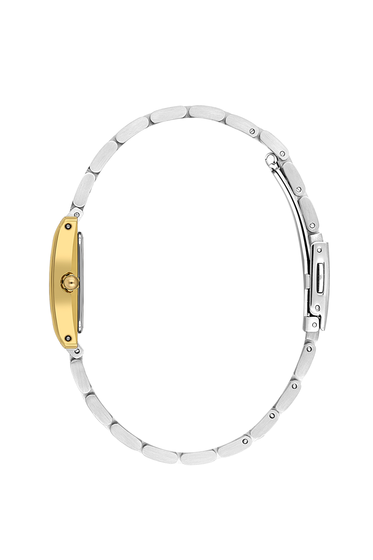 Daniel Klein Women Watch DK.1.14111-4