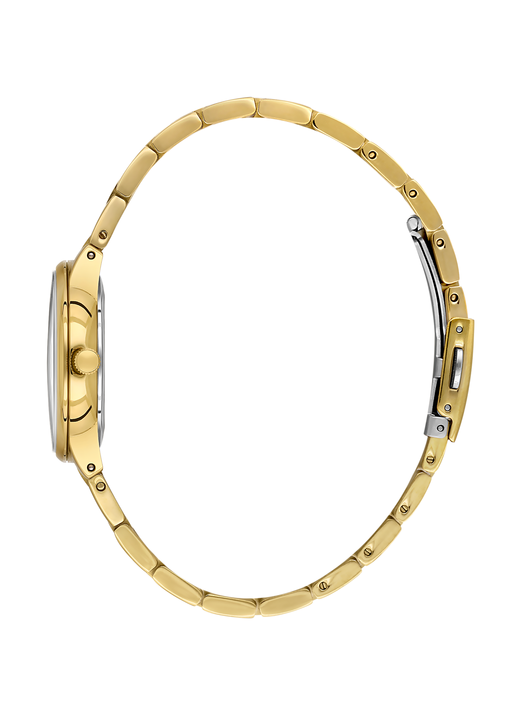 Daniel Klein Women Watch DK.1.14136-2