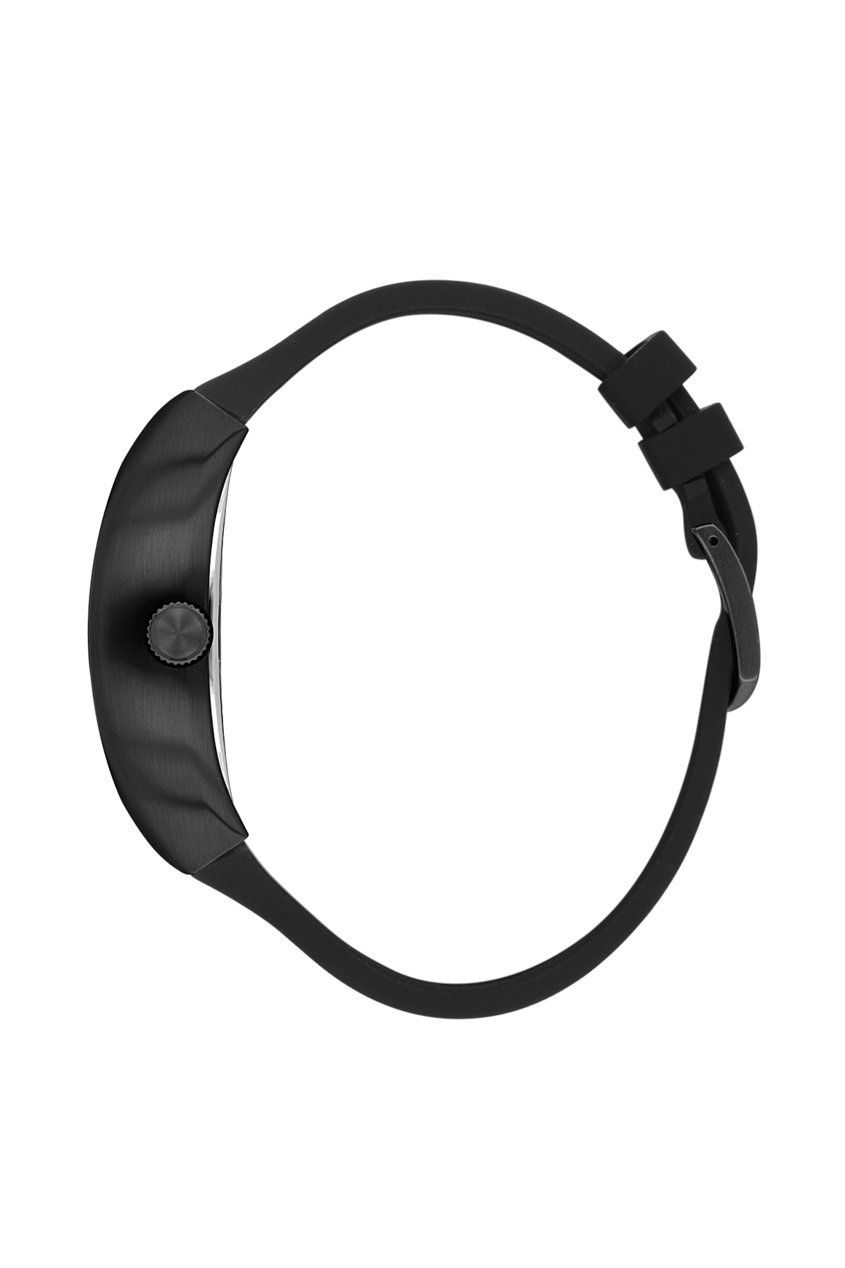 Black dog muzzle on a white background
