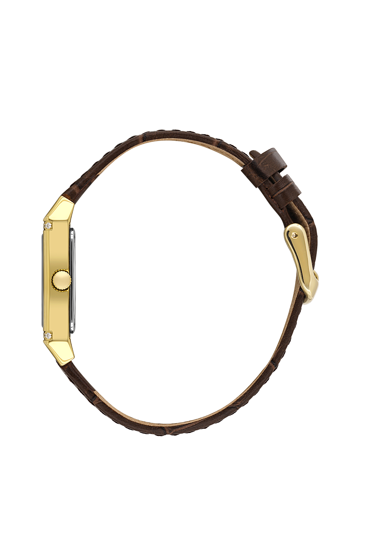 Watch with gold case and brown leather strap on a white background