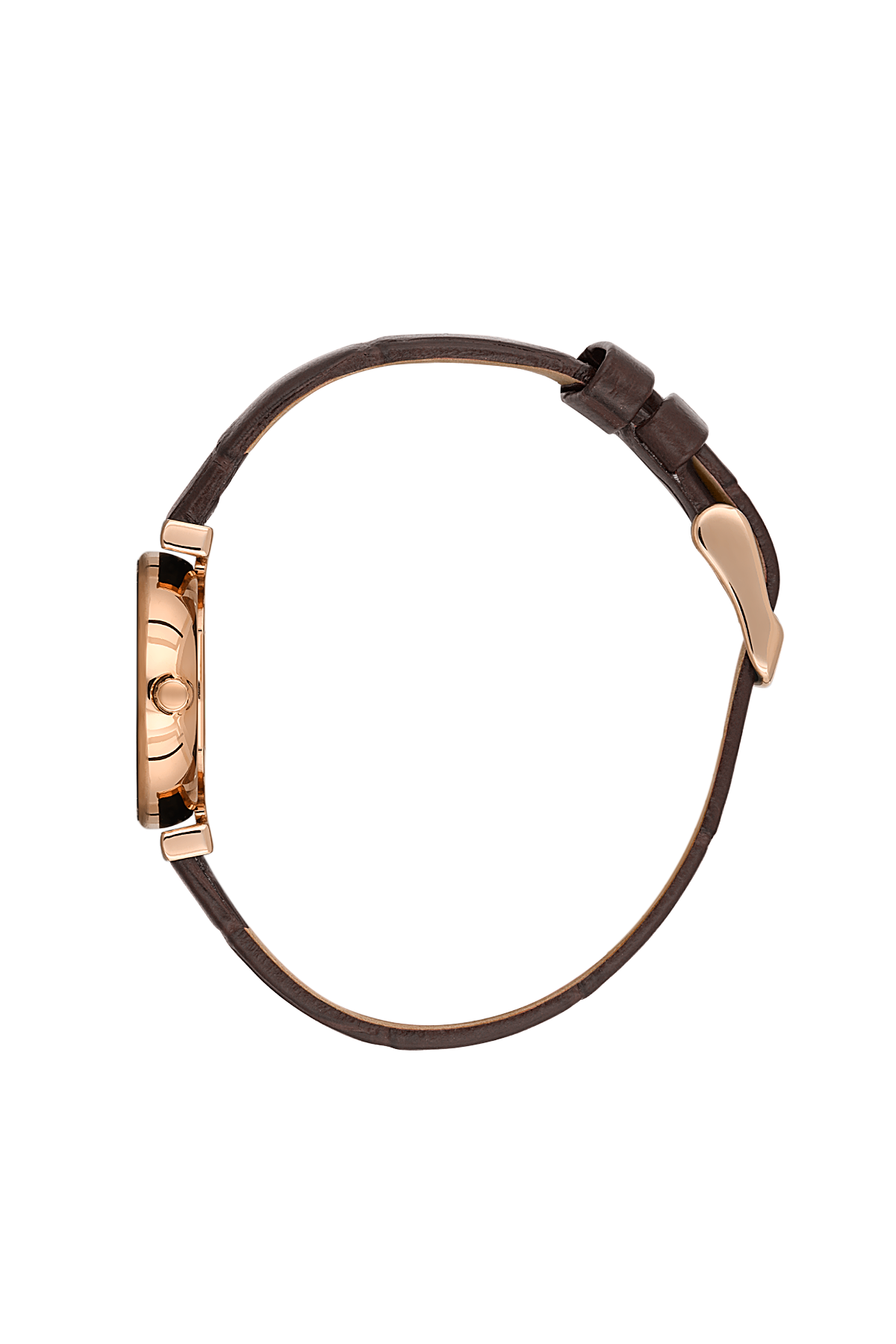 Polo & Racquet Club Women Watch SB.4.10018-5