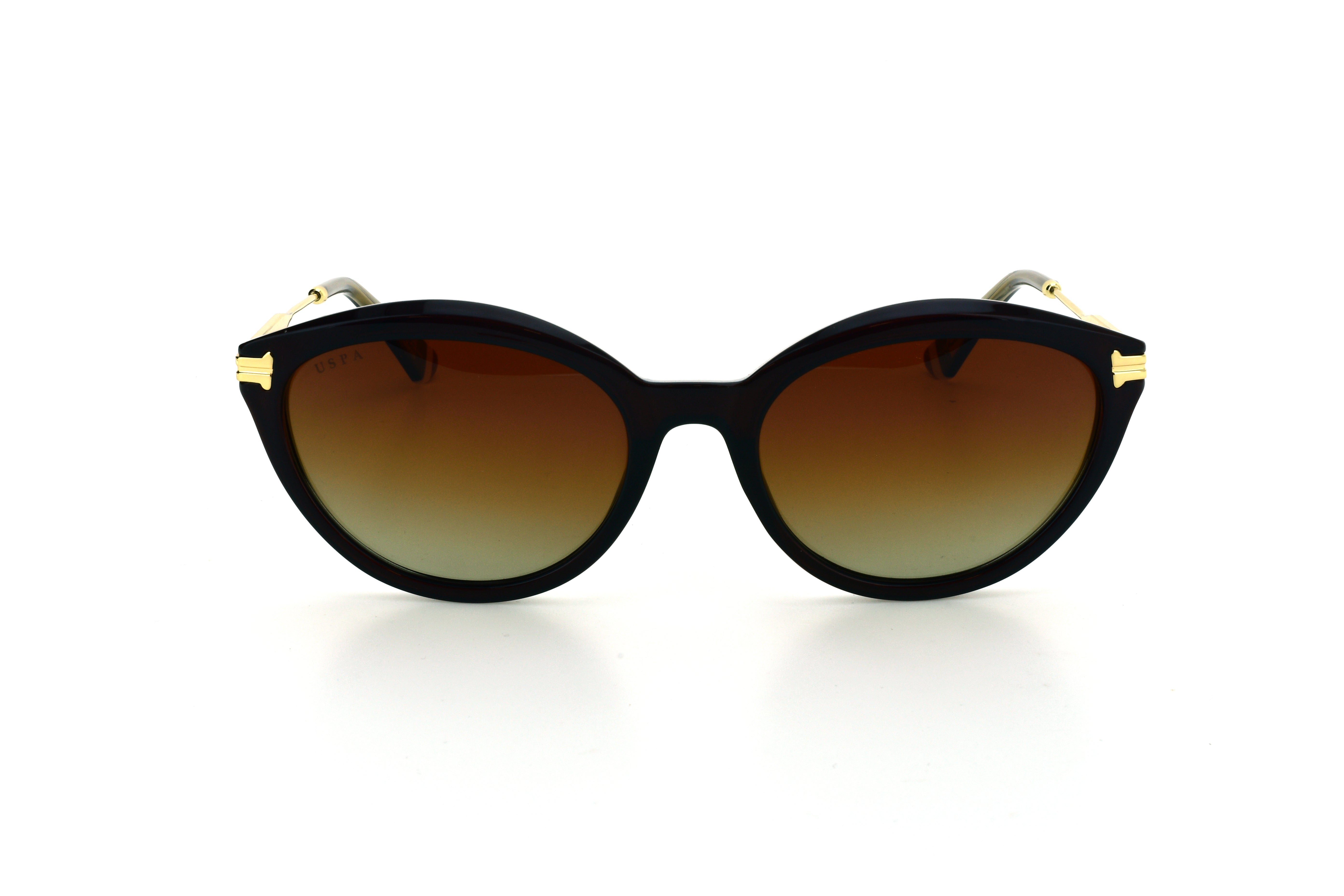 U.S. POLO ASSN USS 0335 C2 Women's Sunglasses