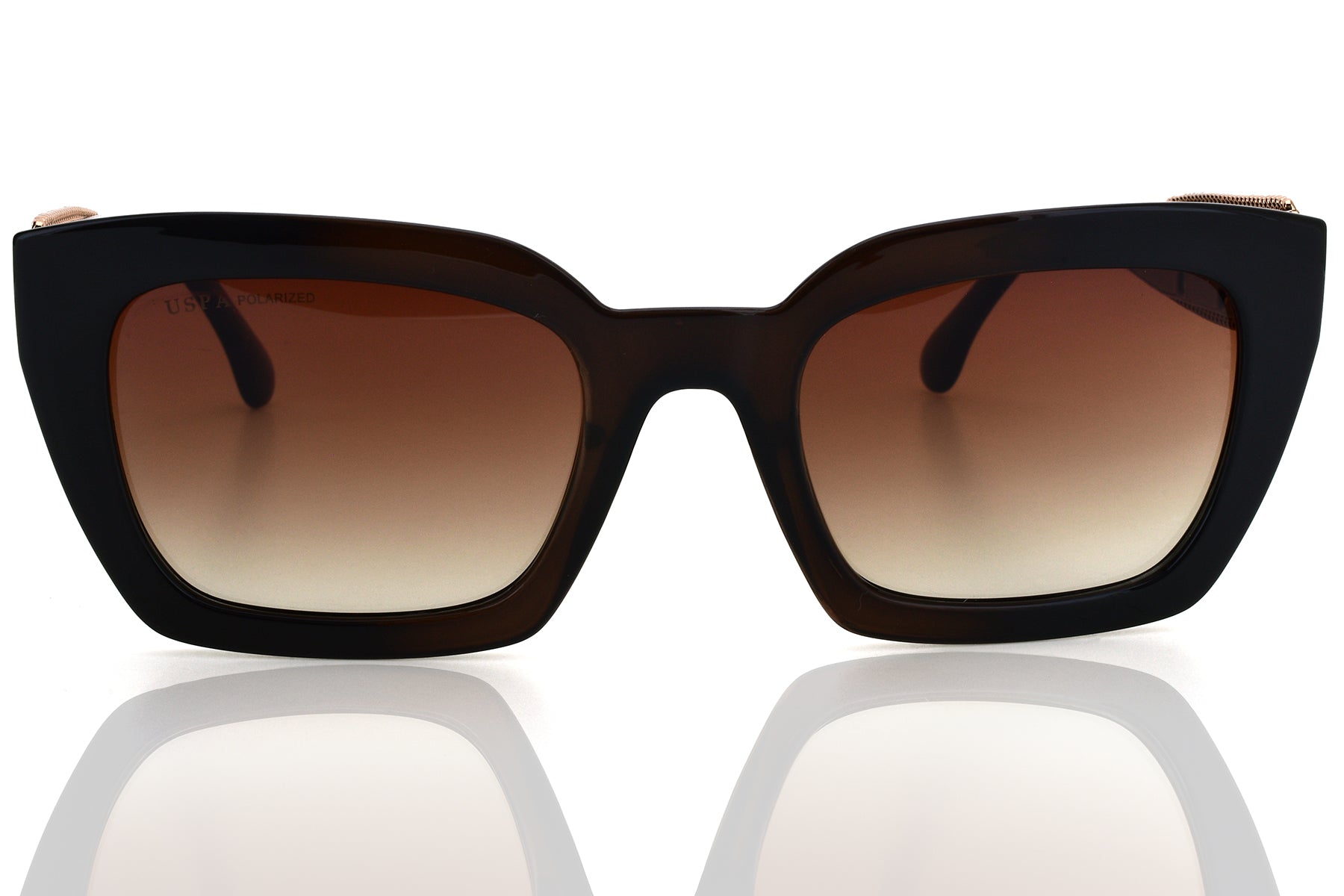 U.S. POLO ASSN USS 0405 C2 Women's Sunglasses