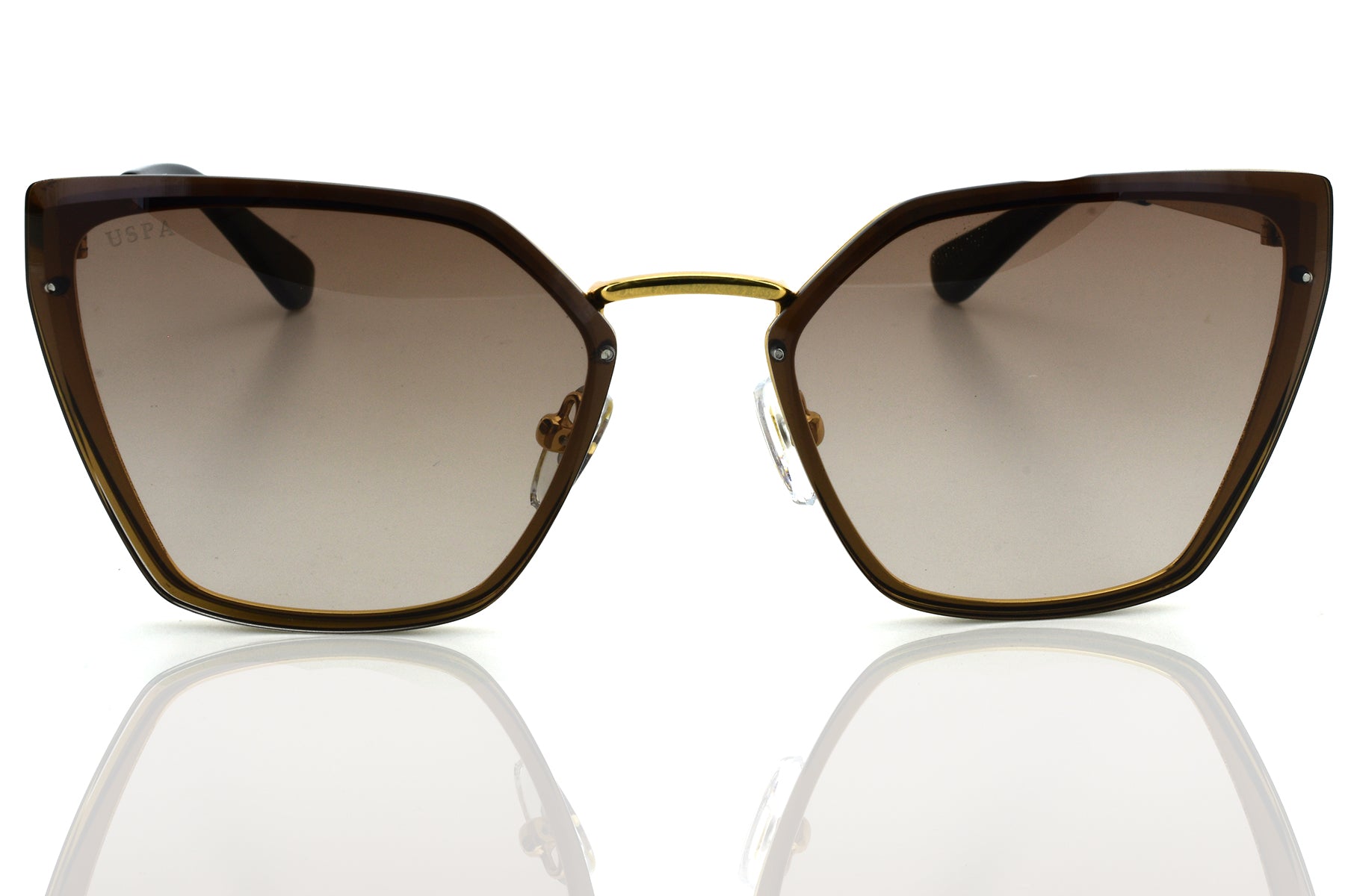 U.S. POLO ASSN USS 0417 C2 Women's Sunglasses