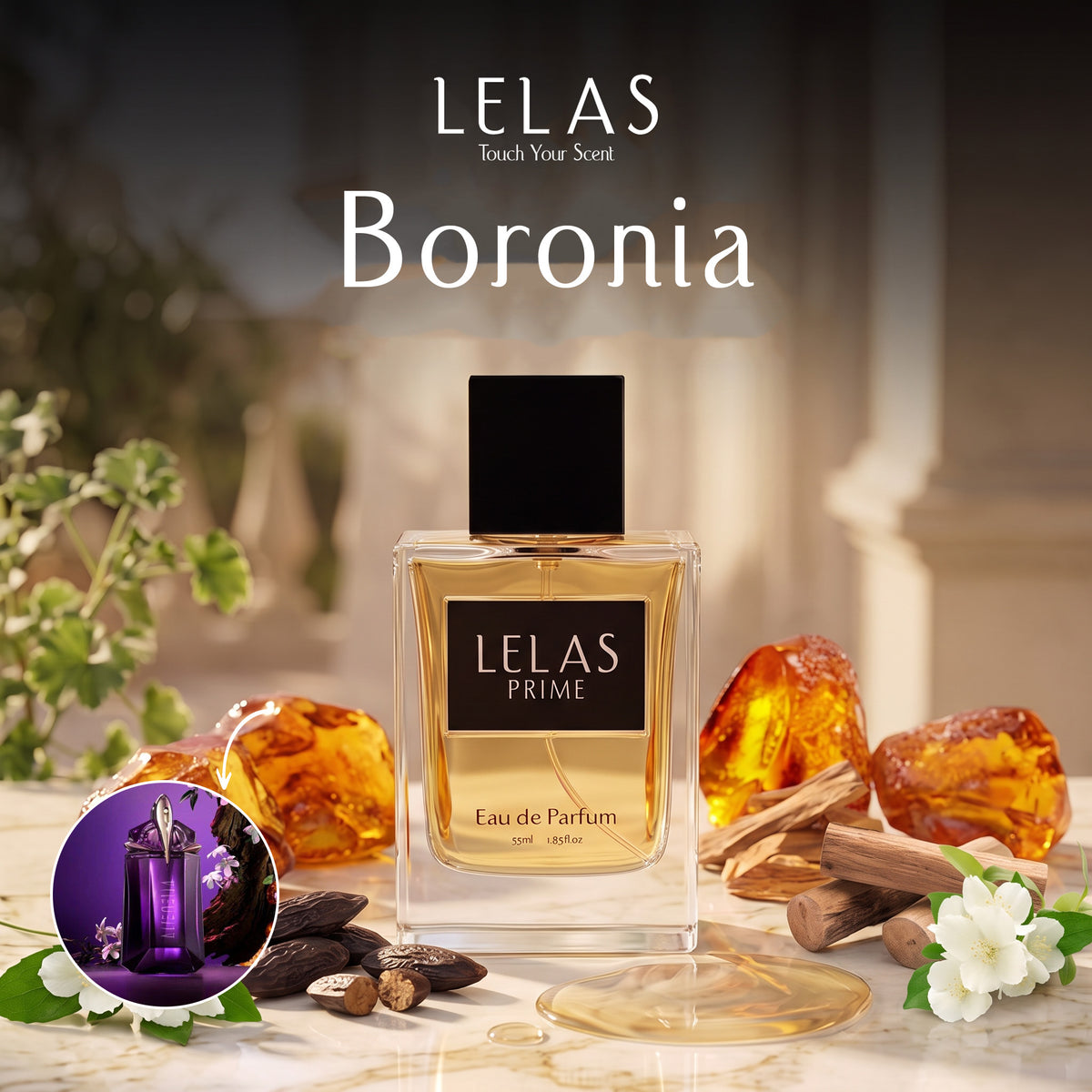 Boronia 55ML Prime
