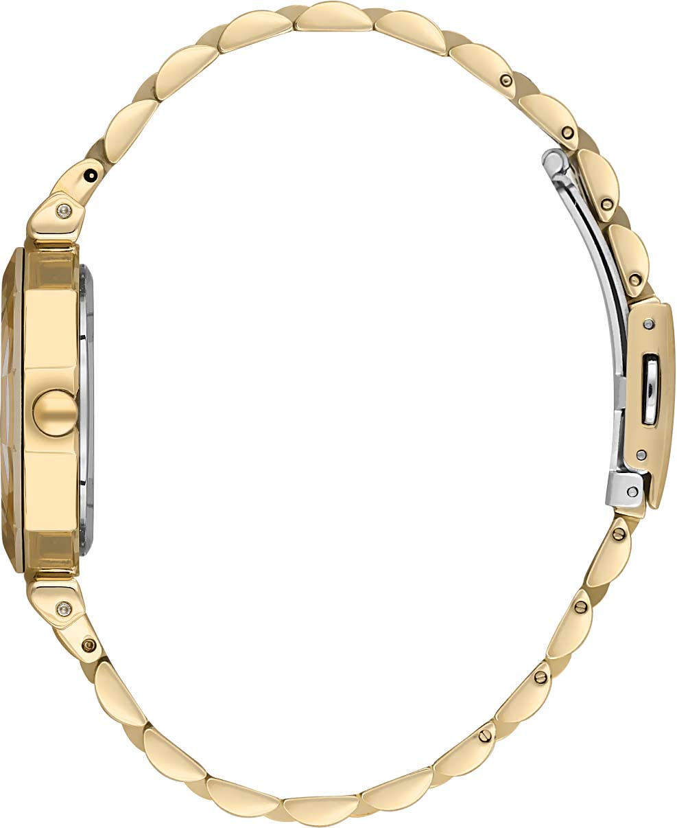 Daniel Klein Women Watch DK.1.13724-2