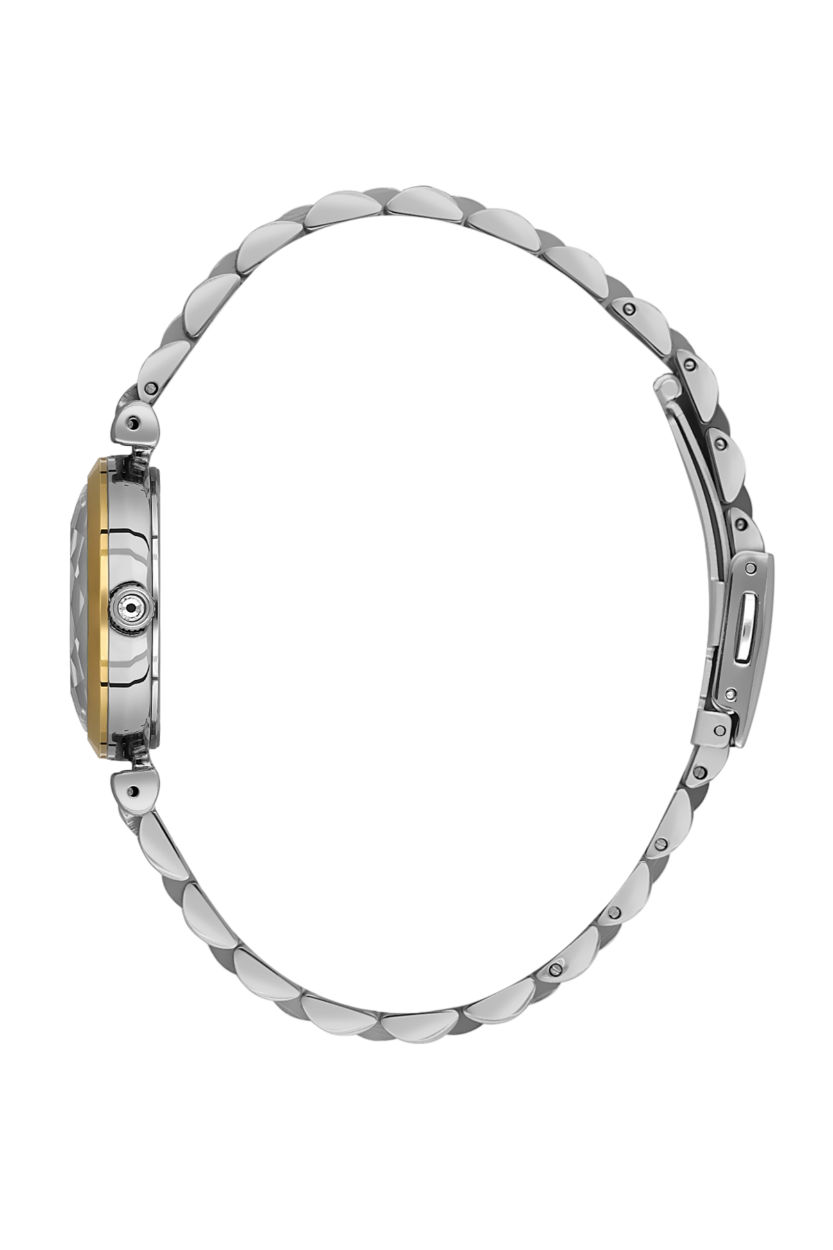 Close-up of a silver watch with a white background
