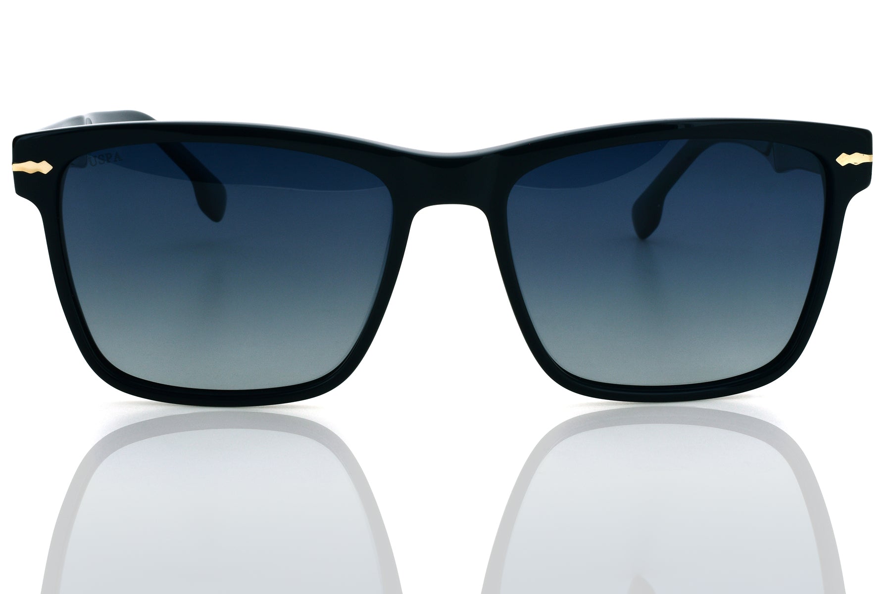 U.S. POLO ASSN USS 0425 C2 Men's Sunglasses